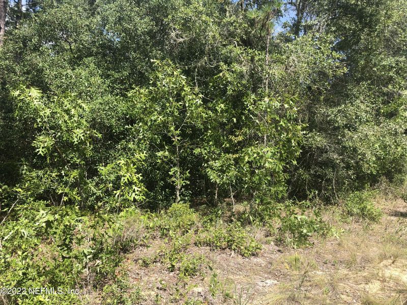 4579 Alan Lake Rd, Keystone Heights, FL 32656