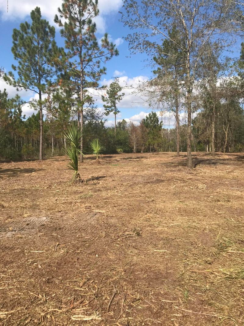 46223 Sauls Rd, Callahan, FL 32011