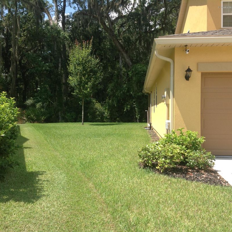 468 Amber Creek Dr, Jacksonville, FL 32218