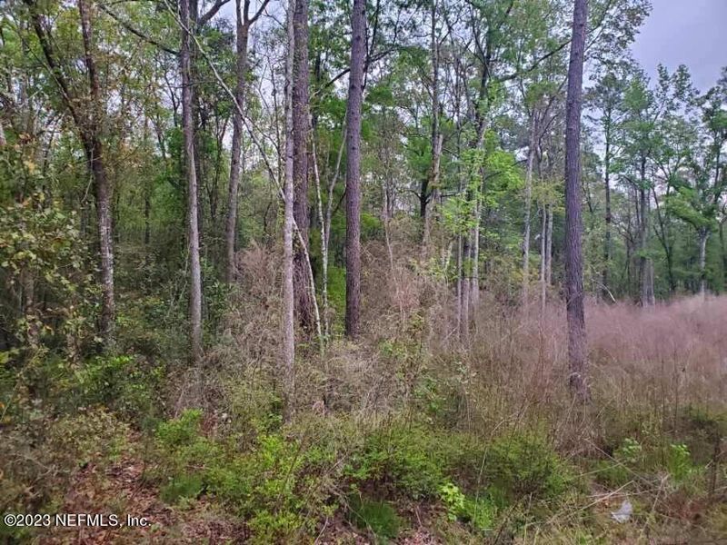 4824 Elizabeth Ct, Middleburg, FL 32068