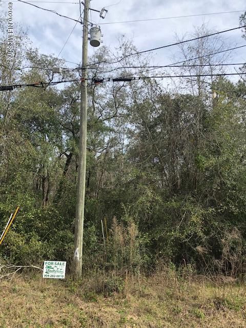 4841 Sedge St, Middleburg, FL 32068