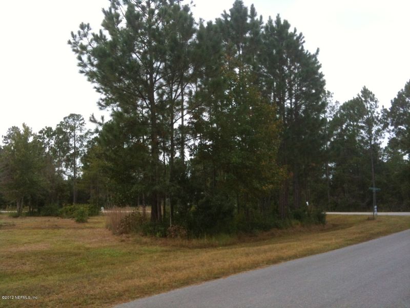 4895 Timothy St, Middleburg, FL 32068