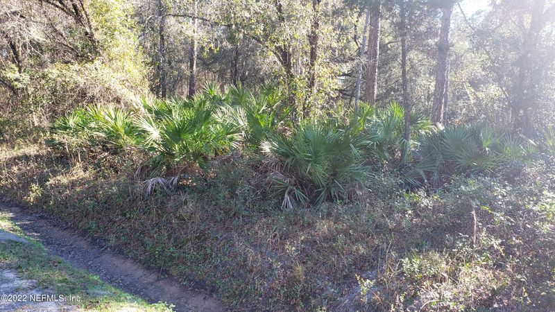 4925 Chester St, Hastings, FL 32145