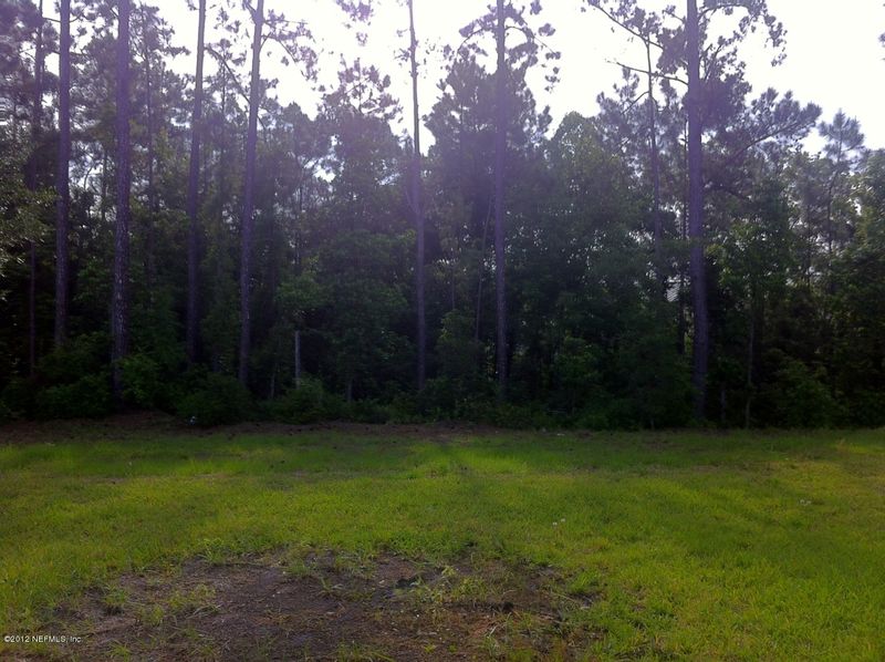 493 Roserush Ln, Jacksonville, FL 32225