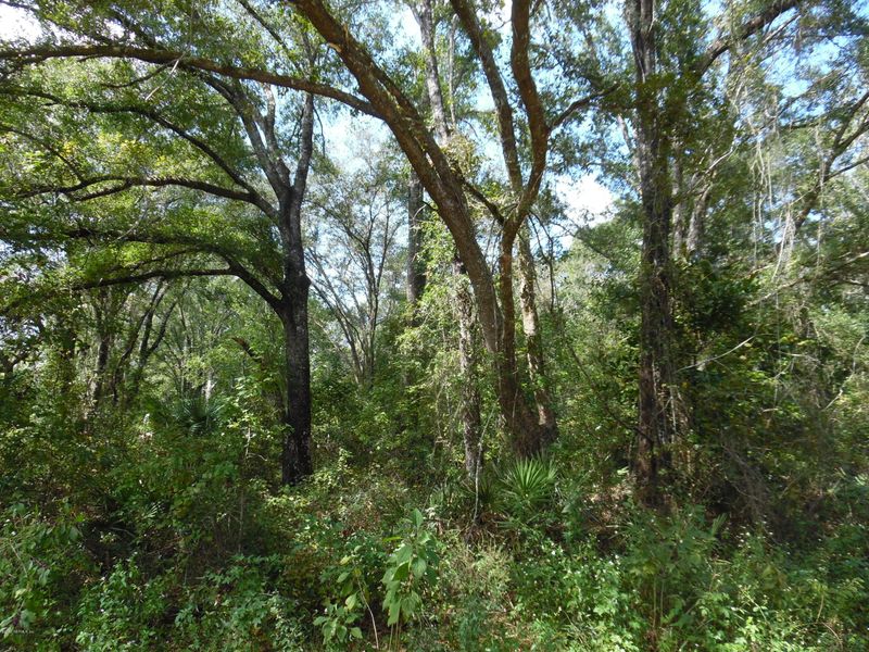 4940 Cedar Ford Blvd, Hastings, FL 32145