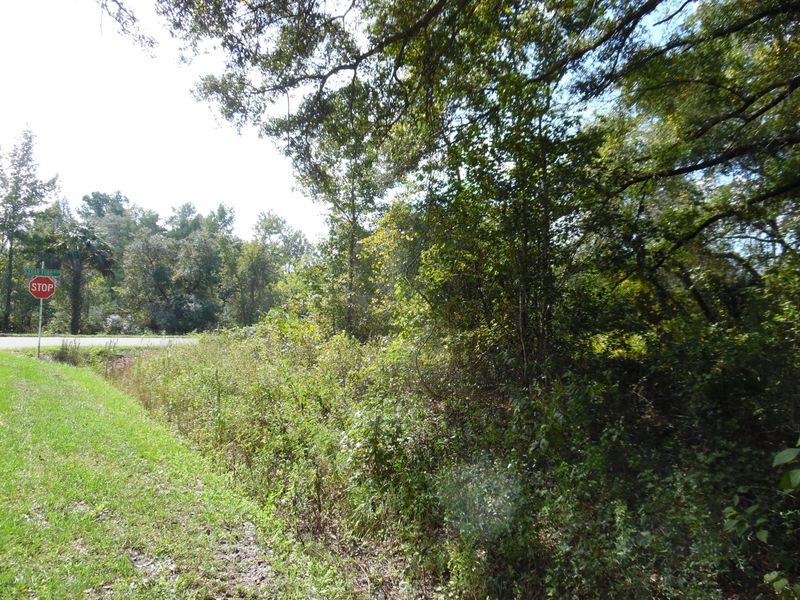 4940 Cedar Ford Blvd, Hastings, FL 32145