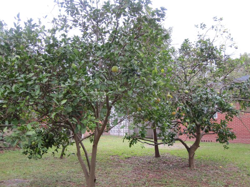 5112 Attleboro St, Jacksonville, FL 32205