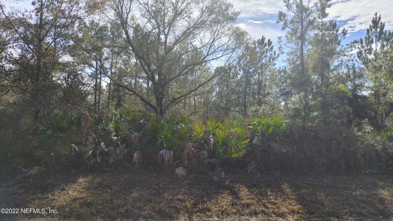 5113 Jonathan St, Hastings, FL 32145
