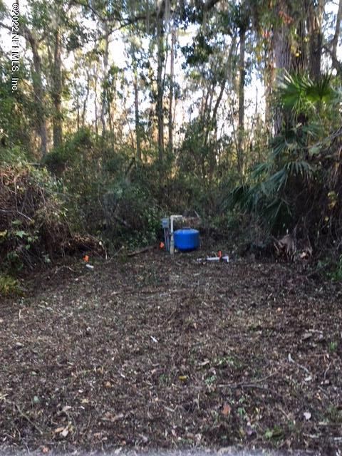 5209 Buckhead Rd, Middleburg, FL 32068
