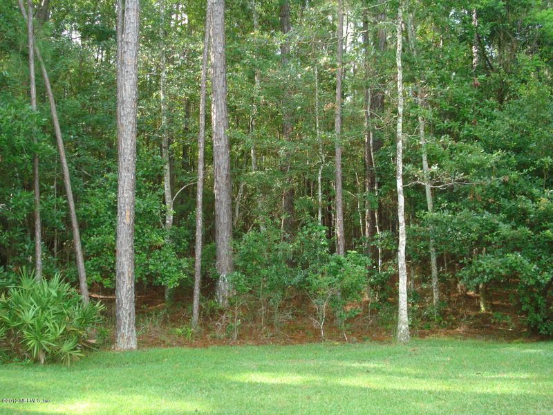 5310 Winrose Falls Dr, Jacksonville, FL 32258