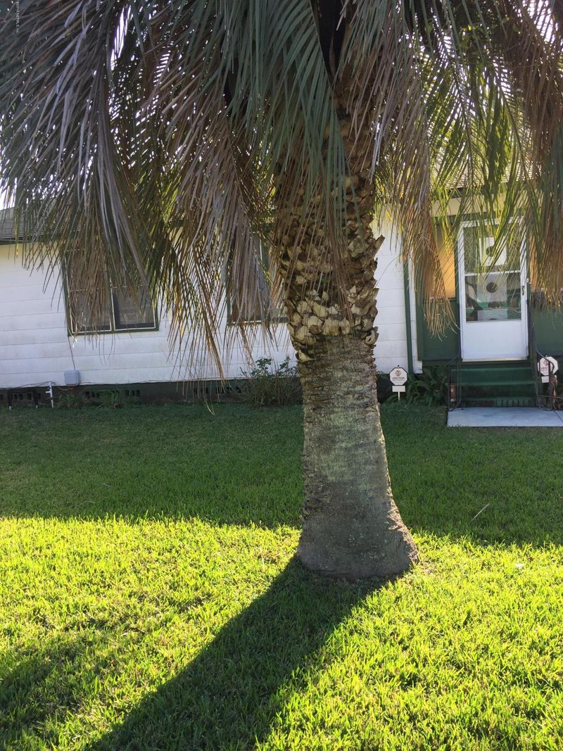 5324 Bunche Dr, Jacksonville, FL 32209