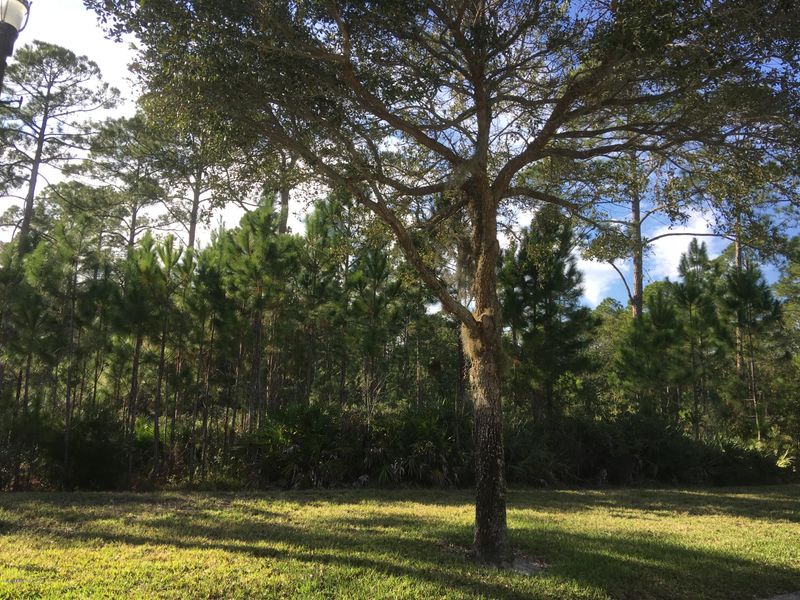 5324 Chandler Bend Dr, Jacksonville, FL 32224