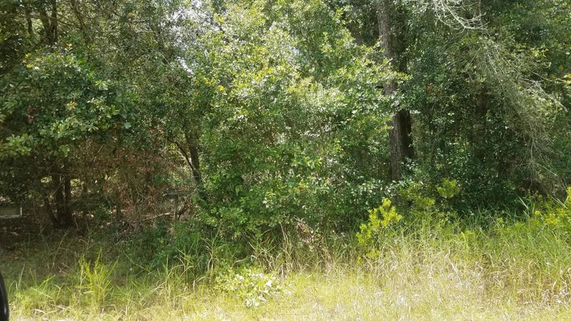 5519 Crockett Ct, Keystone Heights, FL 32656