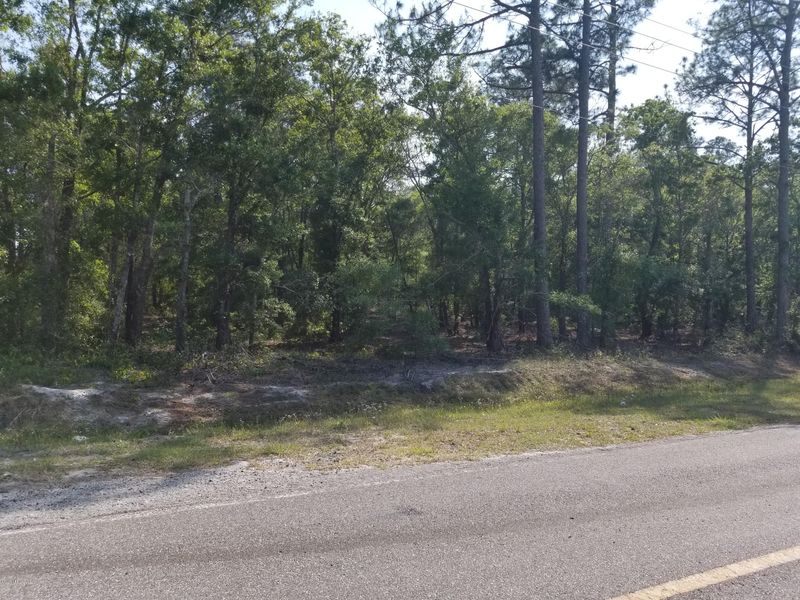 5565 Melanie St, Hastings, FL 32145