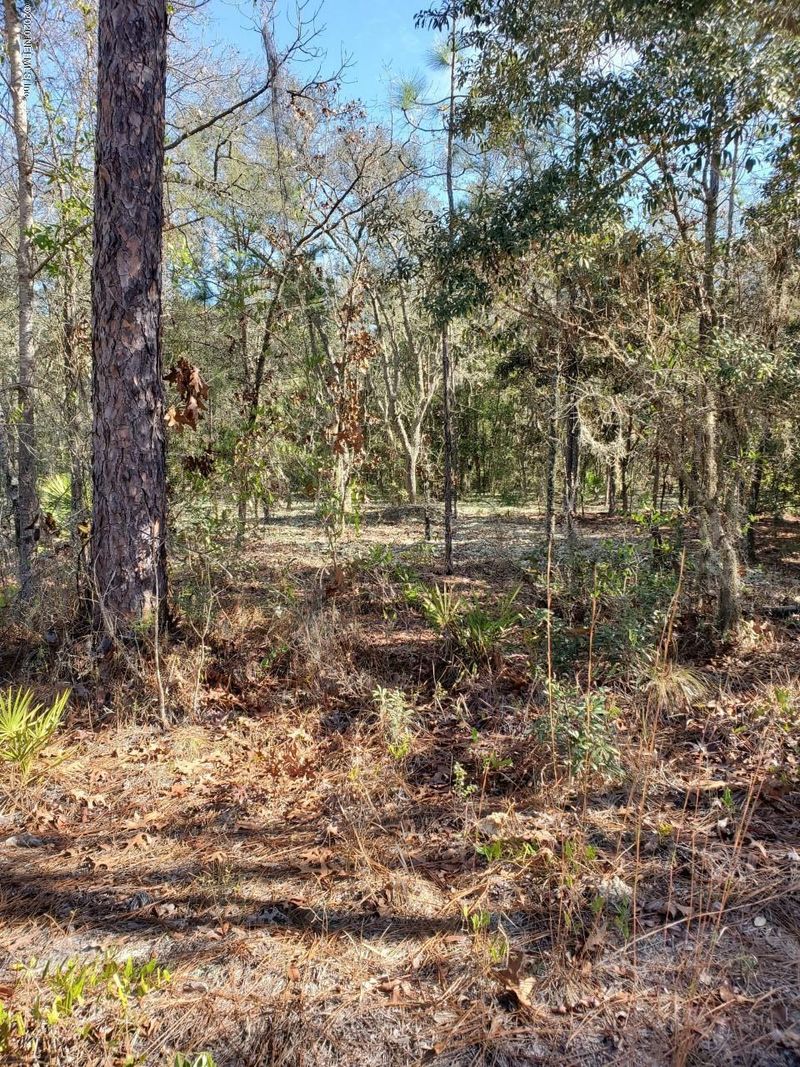 5588 Campo Dr, Keystone Heights, FL 32656