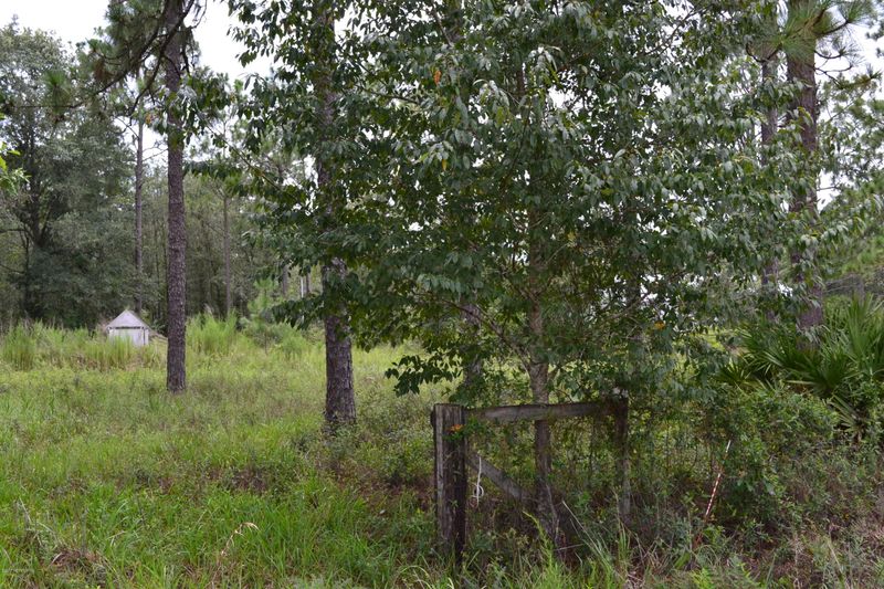 5617 Canvasback Rd, Middleburg, FL 32068