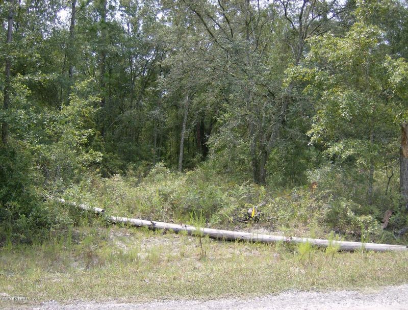 5625 Apache Ct, Middleburg, FL 32068