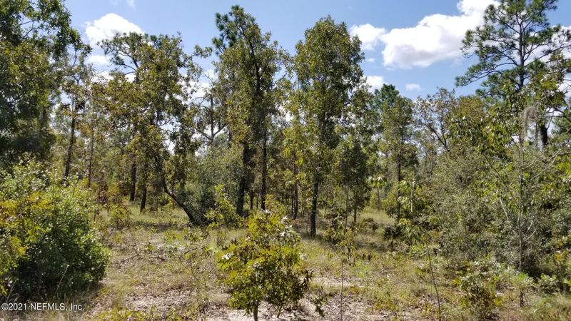 5892 Crane Ct, Keystone Heights, FL 32656