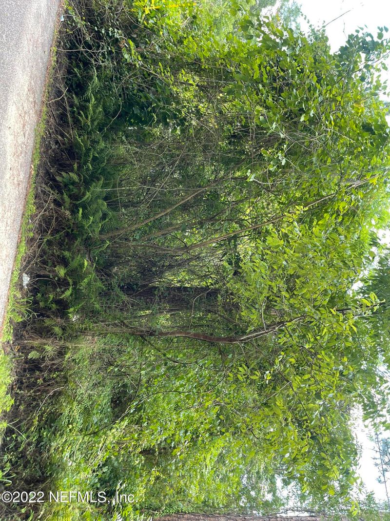 5936 Dunmire Ave, Jacksonville, FL 32219