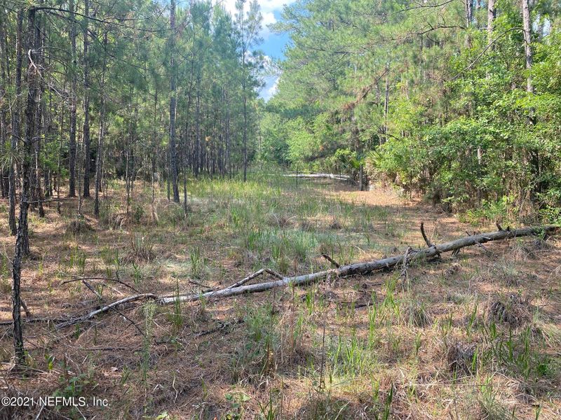 6030 Trawick Rd, Keystone Heights, FL 32656