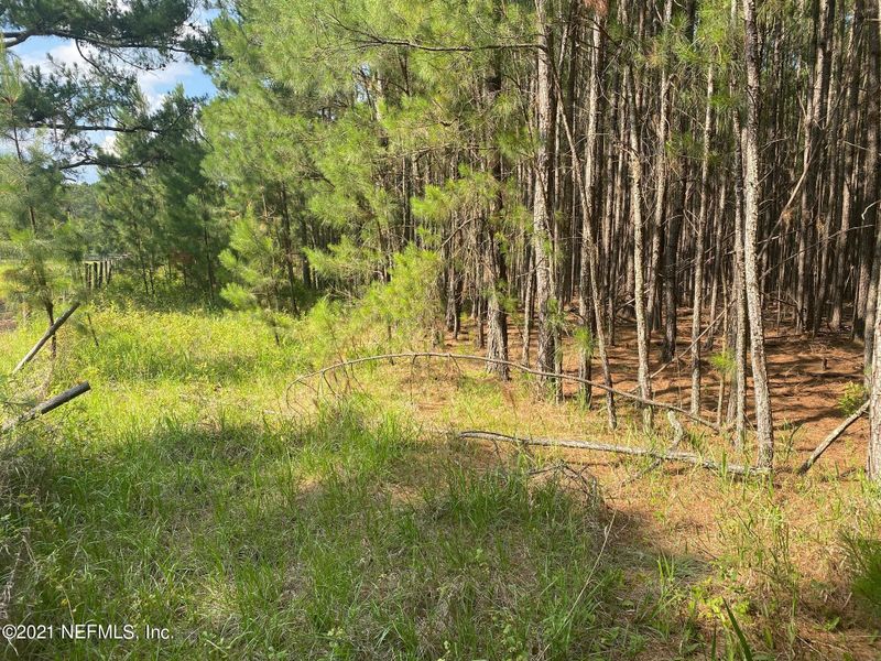 6030 Trawick Rd, Keystone Heights, FL 32656
