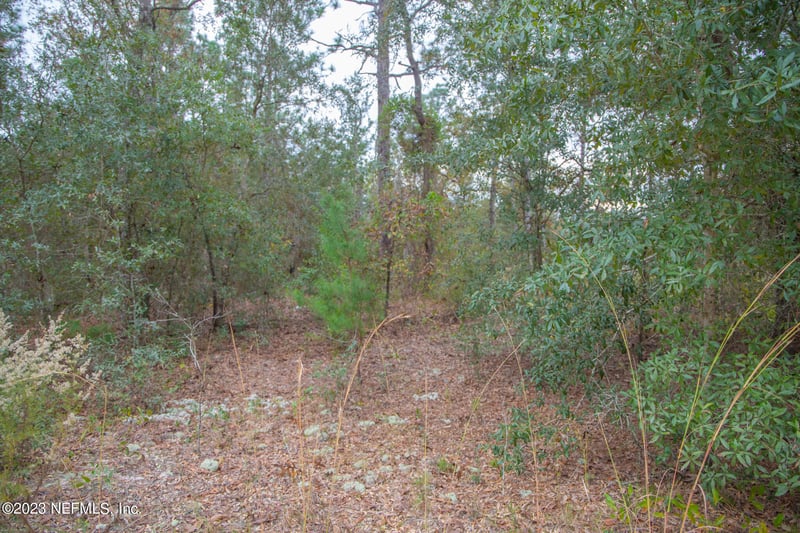 6099 Harvard Ave, Keystone Heights, FL 32656