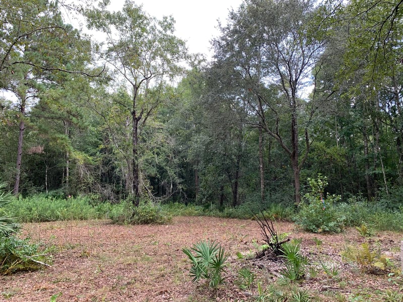 6157 Polka Rd, Jacksonville, FL 32234