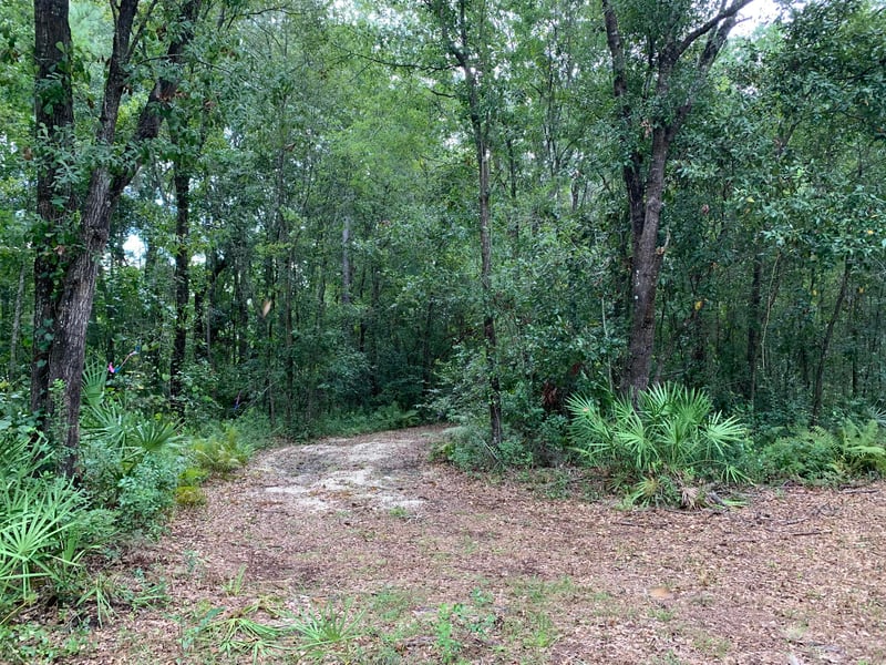 6157 Polka Rd, Jacksonville, FL 32234