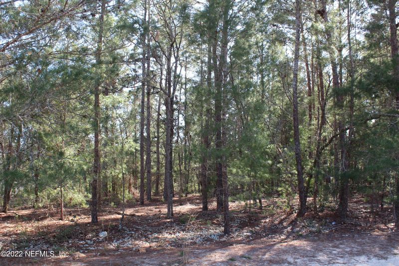 6197 Harvard Ave, Keystone Heights, FL 32656