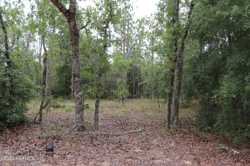 6247 Ridge Ave, Keystone Heights, FL 32656