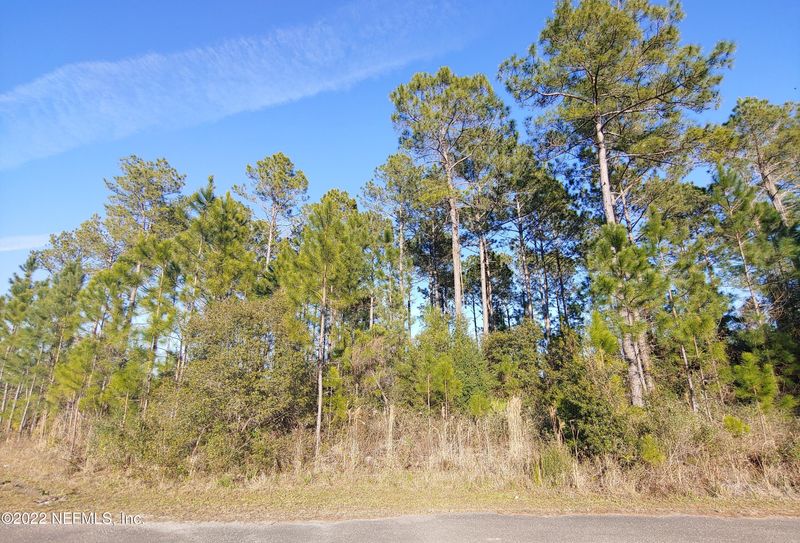 66499 Rocking Horse Ln, Callahan, FL 32011