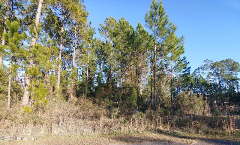 66499 Rocking Horse Ln, Callahan, FL 32011
