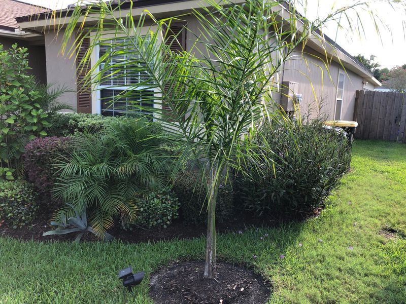 6860 Recreation Trl, Jacksonville, FL 32244