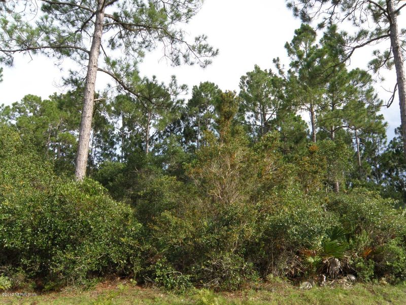 7009 Pine Breeze Ln, St Augustine, FL 32086
