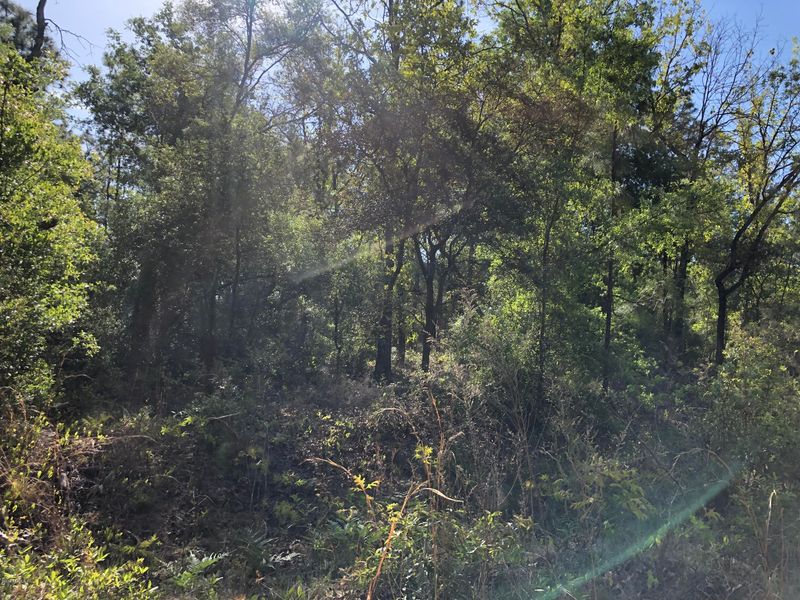 7079 Sewanee St, Keystone Heights, FL 32656