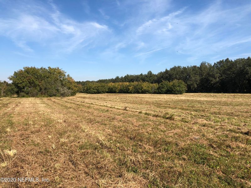 7081 County Road 13, Hastings, FL 32145