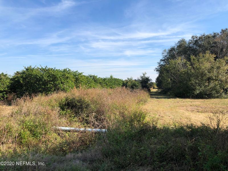 7081 County Road 13, Hastings, FL 32145