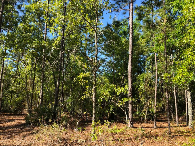 7112 Smith Dr, Keystone Heights, FL 32656