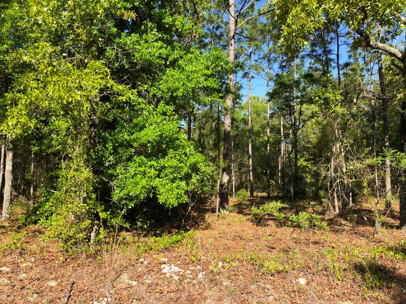 7116 Smith Dr, Keystone Heights, FL 32656