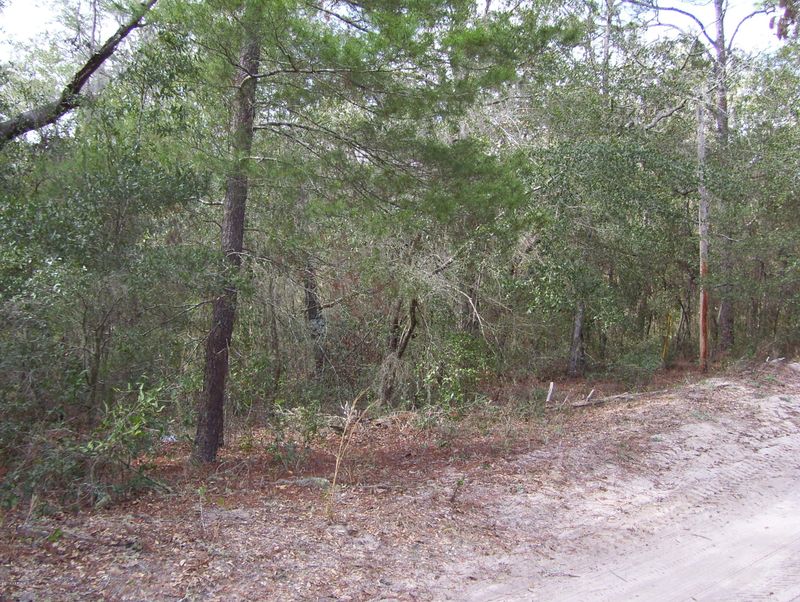 7160 Ridge Trail Rd, Keystone Heights, FL 32656