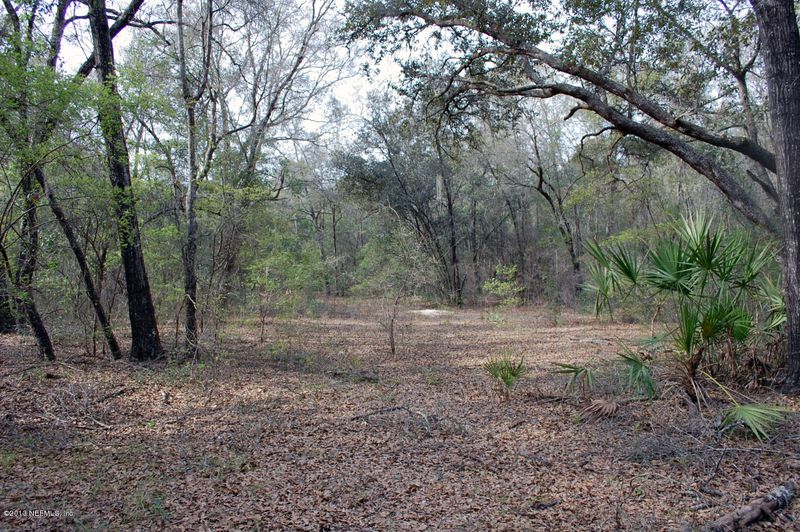 738 N Sr 21, Melrose, FL 32666
