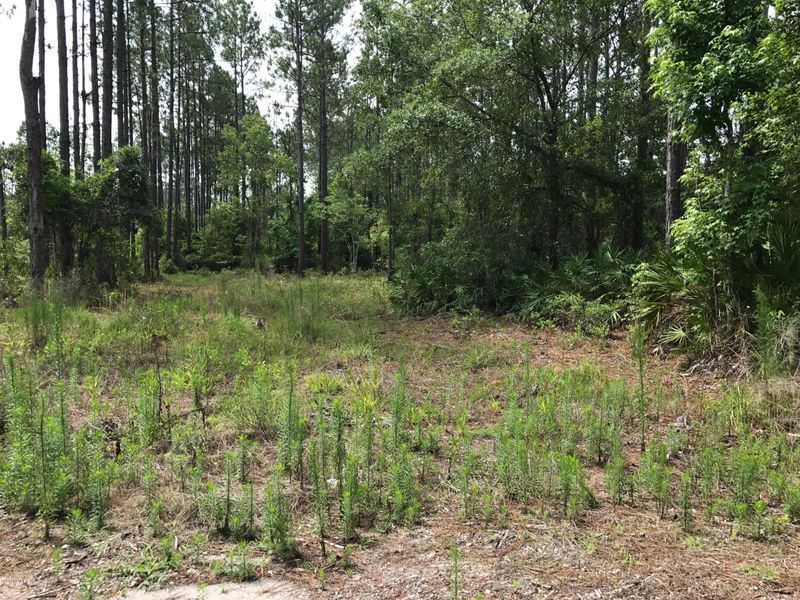 7450 State Road13 N, St Augustine, FL 32092