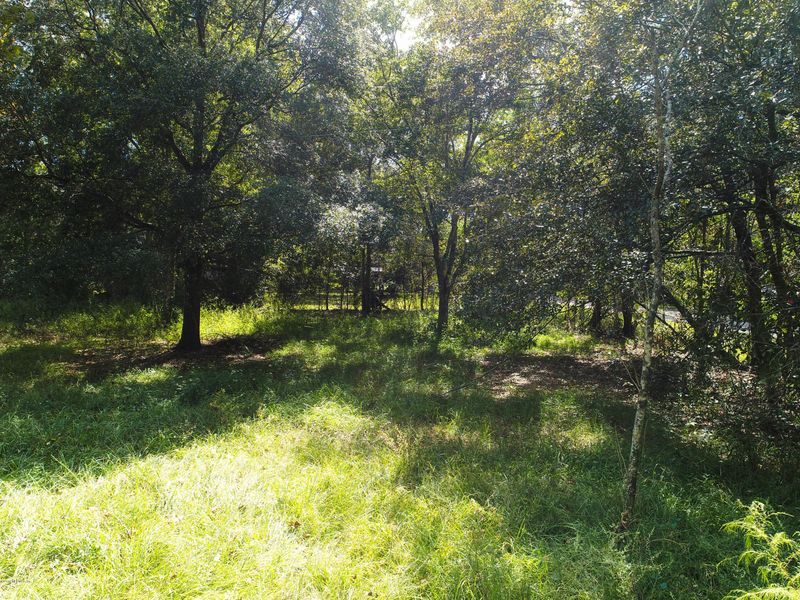 7531 Necia Dr, Jacksonville, FL 32244
