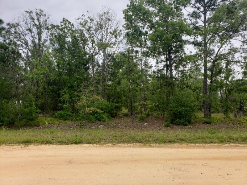 7617 Oak Forest Rd, Keystone Heights, FL 32656