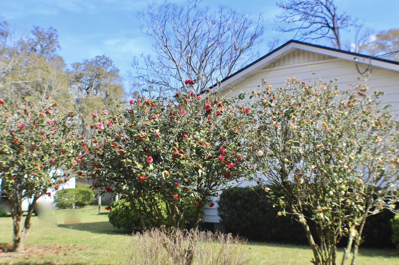 7701 Eaton Ave, Jacksonville, FL 32211