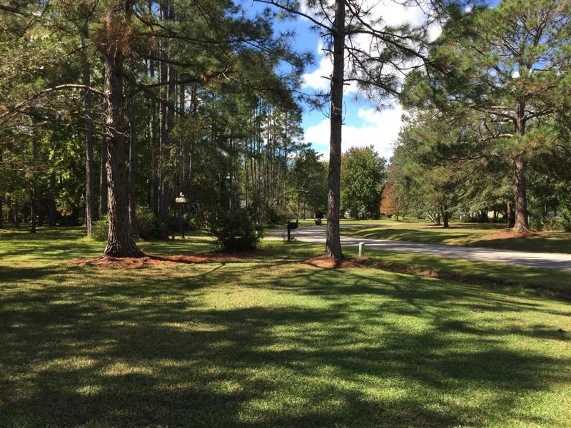 778 Opossum Ln, St Johns, FL 32259