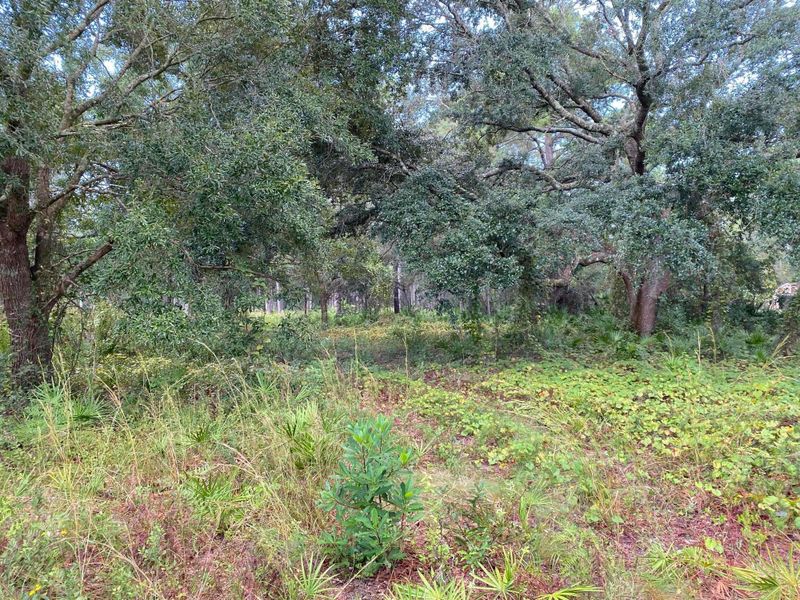 7869 County Rd 13 N, St Augustine, FL 32092