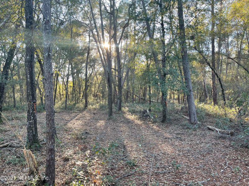 7940 Gustafson Rd, Keystone Heights, FL 32656