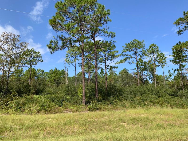 7976 Odom Ranch Trl, Keystone Heights, FL 32656