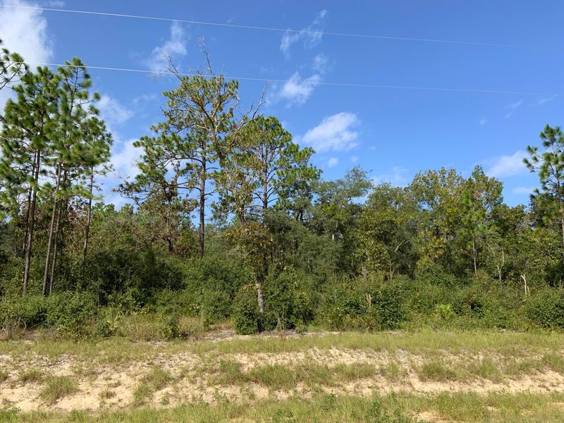 7976 Odom Ranch Trl, Keystone Heights, FL 32656